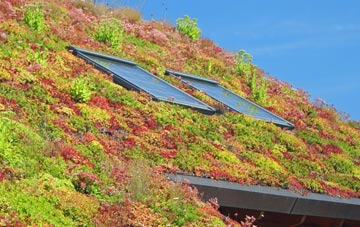 Staveley In Cartmel living roof systems